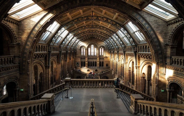 Dehumidiers Applied in Museums and Archives