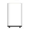 R290 Portable Electric Home Dehumidifier With Automatic Defrosting