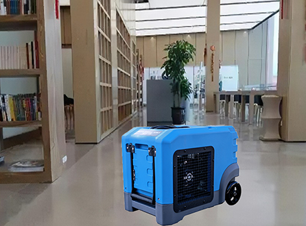 How Does a Dehumidifier Work?
