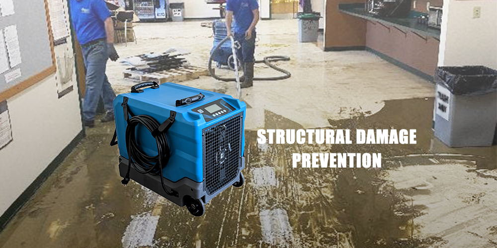 Efficient Lgr85 Dehumidifier for Structural Damage Prevention