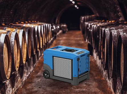 do-you-need-a-dehumidifier-in-a-wine-cellar.png