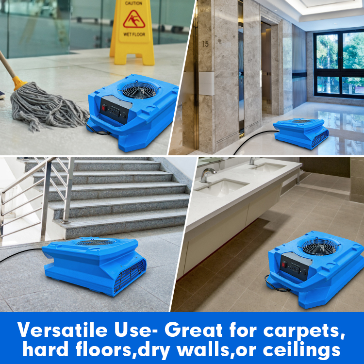 Application of Am30lo Industrial Floor Drying Fan