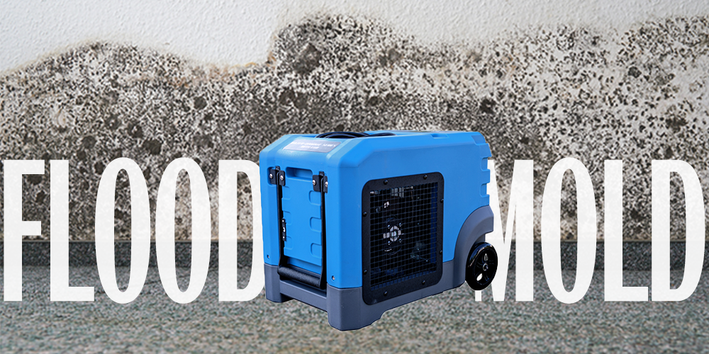 Lgr105 Flood Dehumidifier for Mold and Mildew