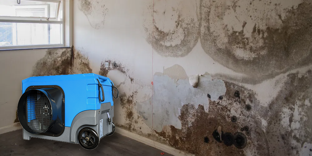 Lgr125 High Efficient Dehumidifier for Damp Wall