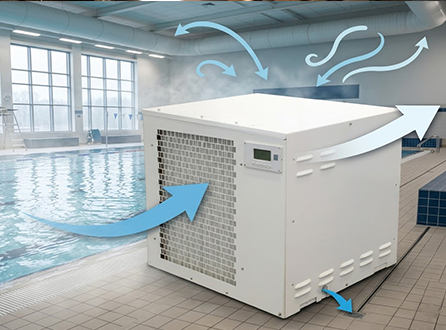 Do-Indoor-Pools-Need-a-Dehumidifier.png