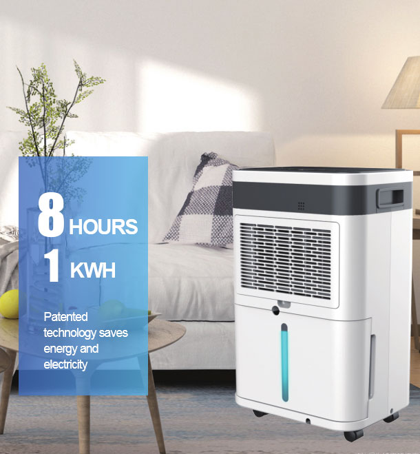 Energy Efficient and Cost Saving Dehumidifiers