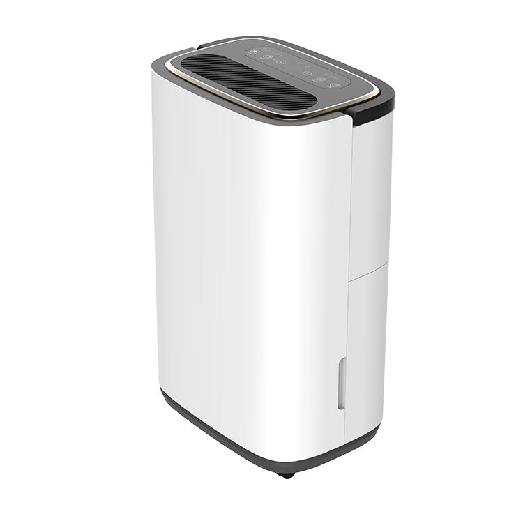 R290 Portable Electric Home Dehumidifier With Automatic Defrosting