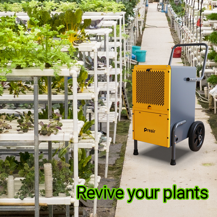 Pr50 Commercial Greenhouse Dehumidifier