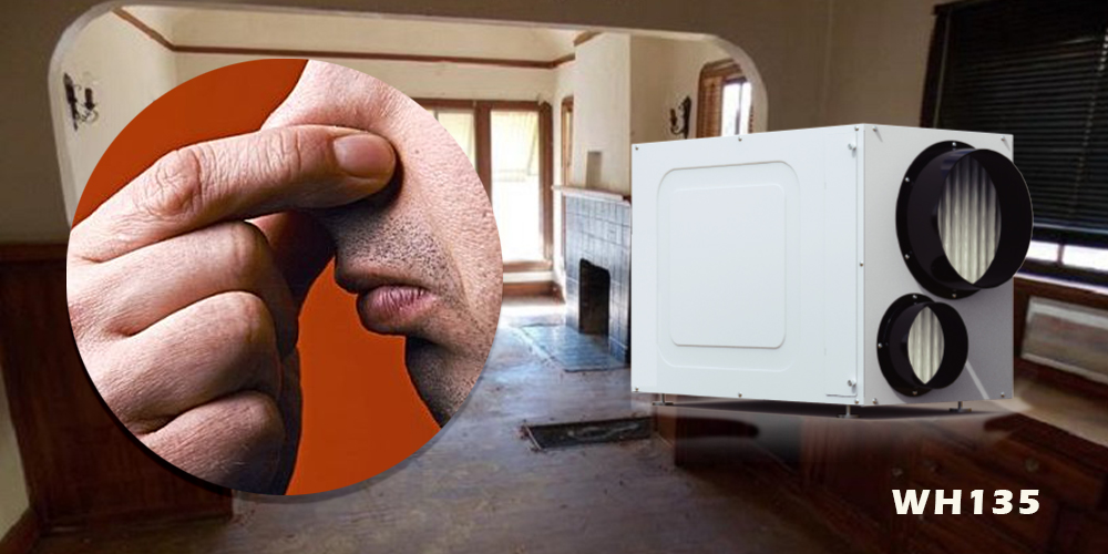 Wh135 Whole Home Dehumidifier for Musty Smell