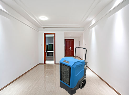 How To Use A Dehumidifier Effectively?