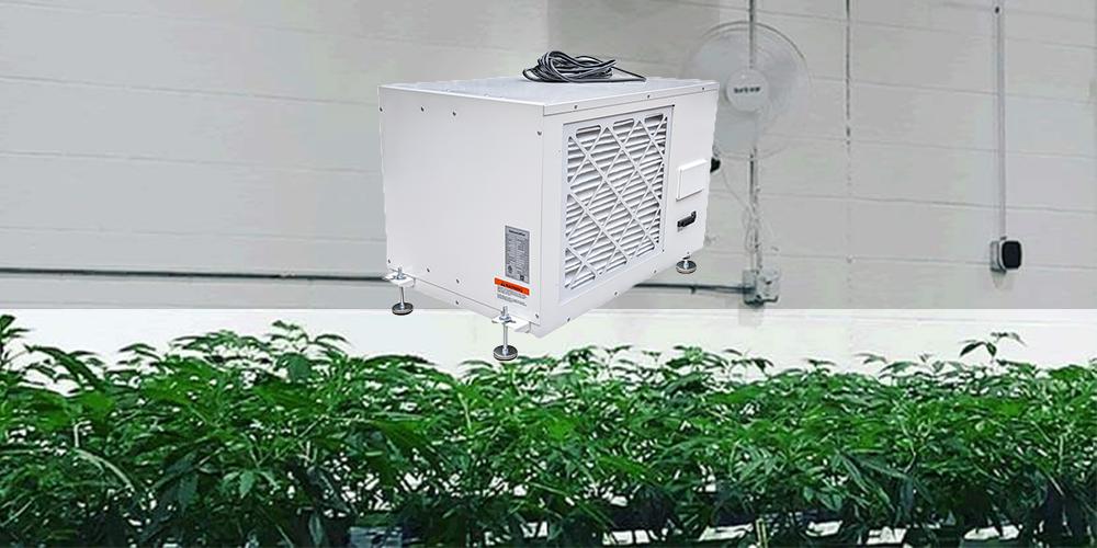 Pro230 Industrial Dehumidifier for Grow Room