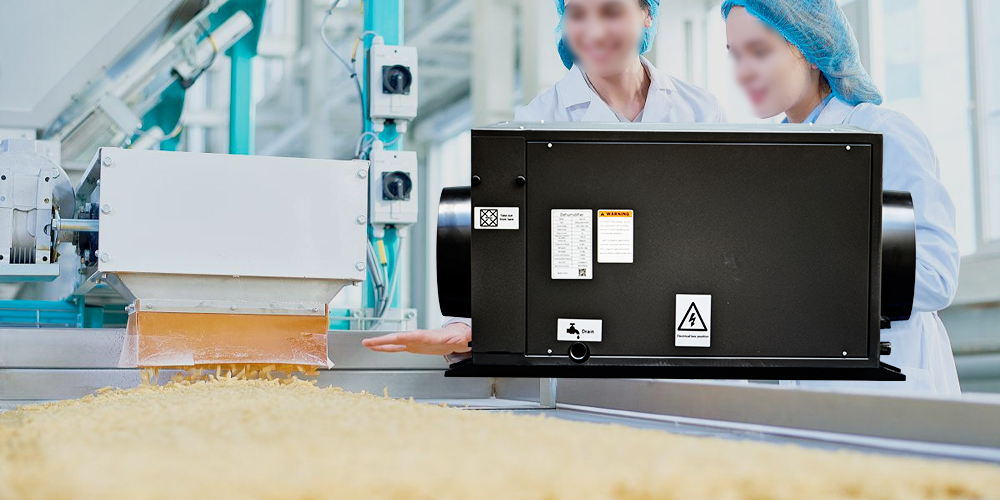Zeta145 Industrial Dehumidifier for Food Industry