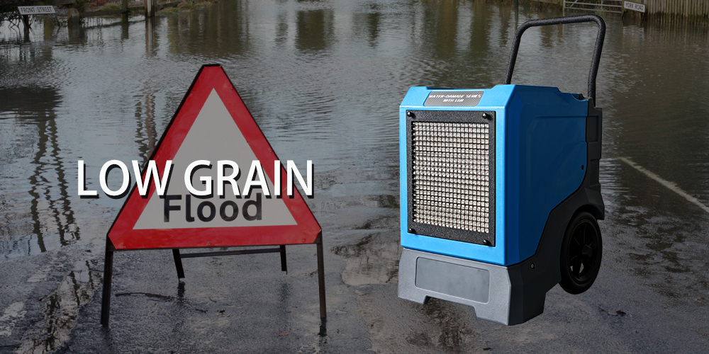 Lgr85l Low Grain Dehumidifier for Sale