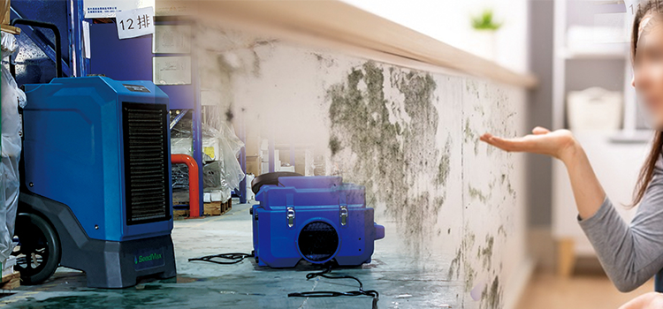 Restoration Dehumidifier and Fan