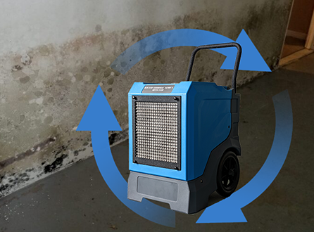 How Long Should a Dehumidifier Run in a Basement.png