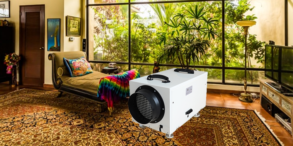 Hd70 Home Dehumidifier in Tropical Area