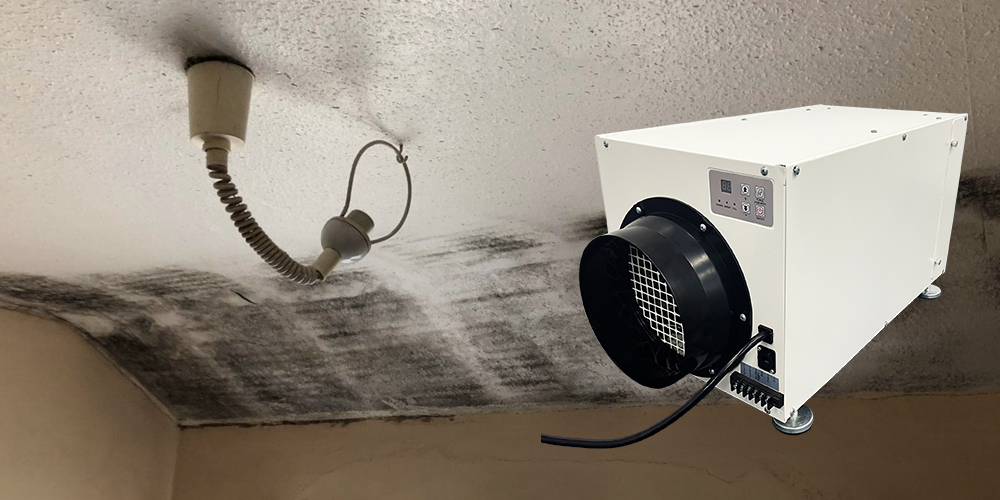 Wh70 Whole House Ventilating Dehumidifier for Sale