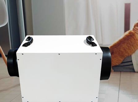 What Is the Best Dehumidifier for a Crawl Space.png
