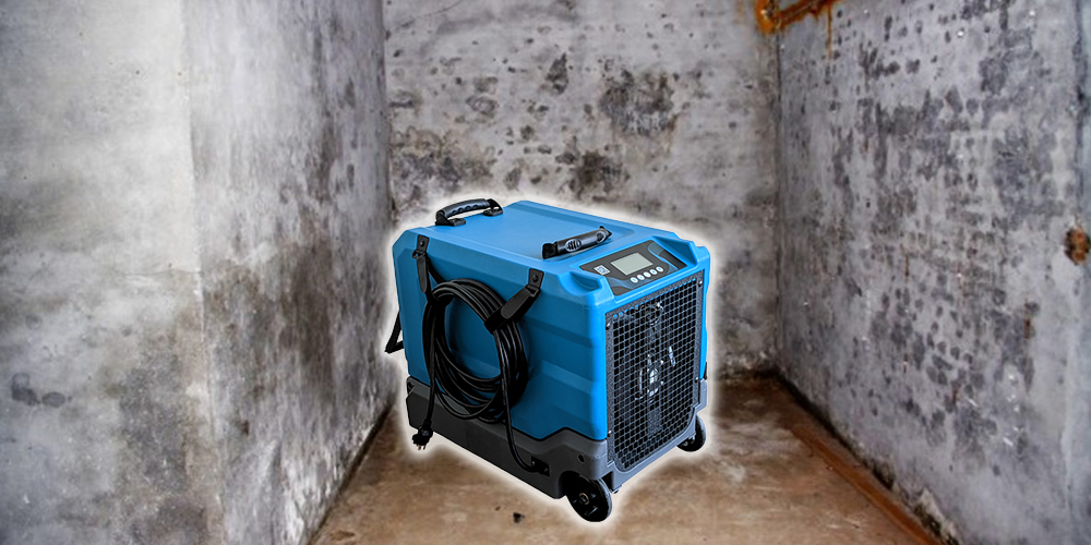 Lgr85 Low Grain Dehumidifier for Moldy Basement