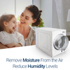 ZETA130 Sheet Metal Housing Dehumidifier for Whole House 130PPD