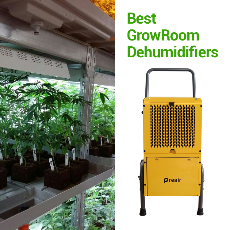 Pr50 Commercial Greenhouse Dehumidifier For Sale