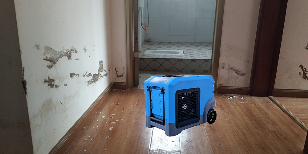Preair Lgr105 Dehumidifier for Wet House