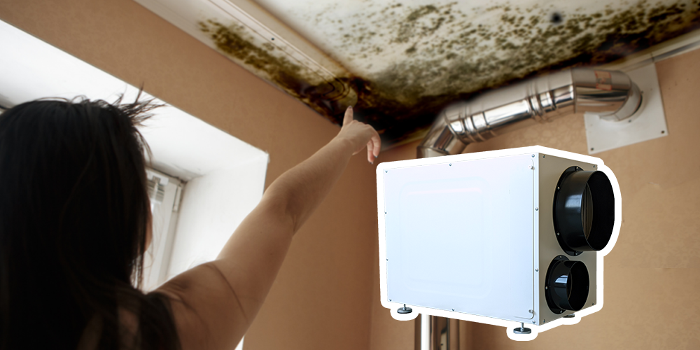 Wh95 Ceiling Dehumidifier for Wet Bathroom
