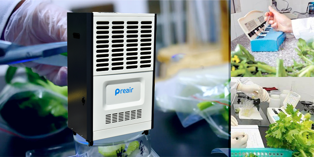 Ht1501 Commercial Strength Dehumidifier for Agriculture Product Testing Laboratory