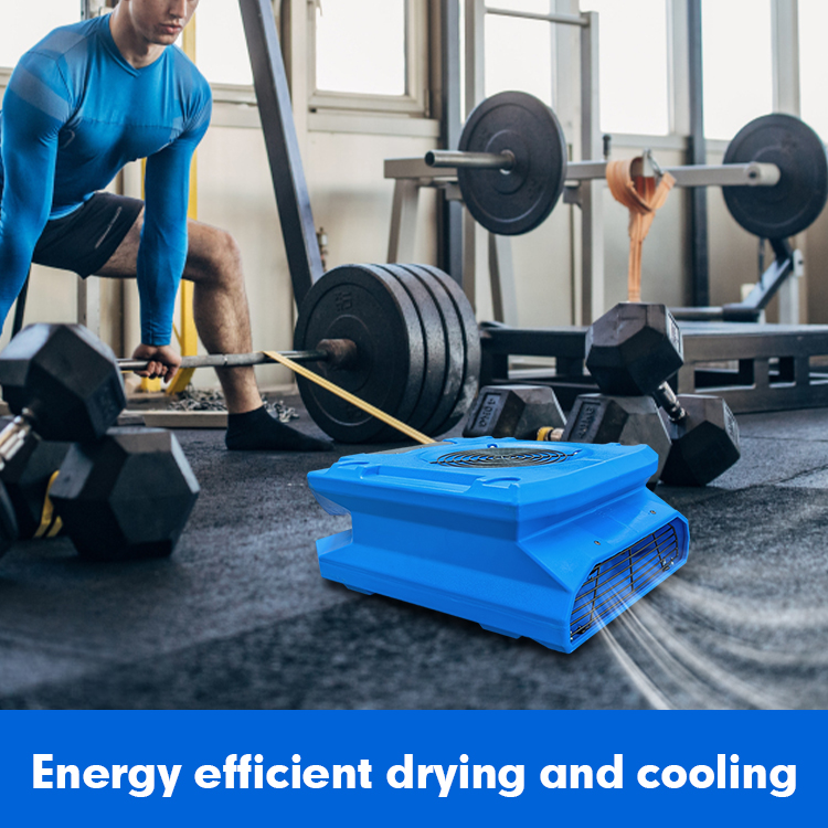 Application of Am30lo Floor Air Mover