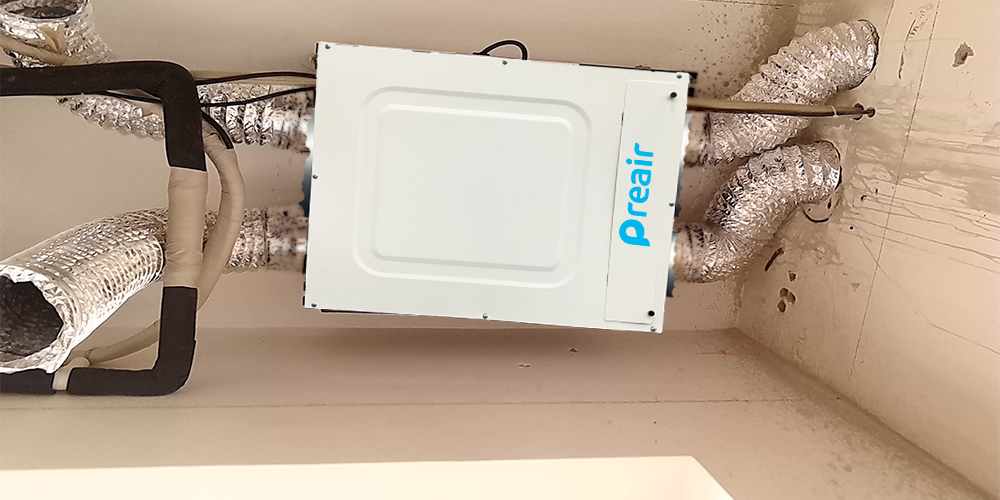 Wh135 Fresh Air Dehumidifier for Whole House