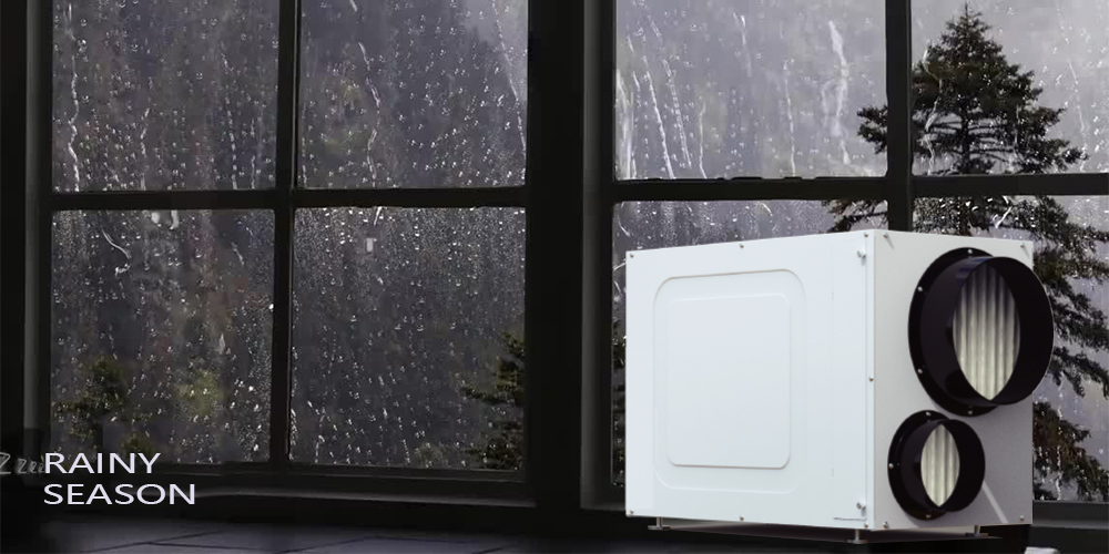 Wh95 Home Dehumidifier for Rainy Season