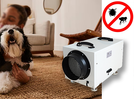 Can-a-Dehumidifier-Help-Get-Rid-of-Fleas-in-My-House.png
