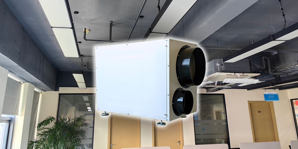 Wh135 Fresh Air Dehumidifier for Offices