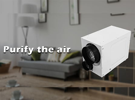 does-the-dehumidifier-clean-the-air.png