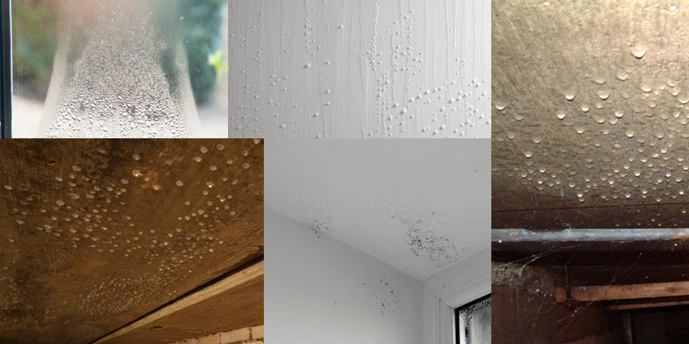 Condensation on Walls Windows Ceilings