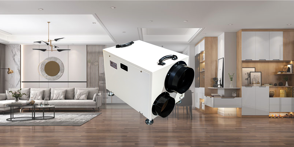 Hd70 Whole Room Dehumidifier with Drain Hose