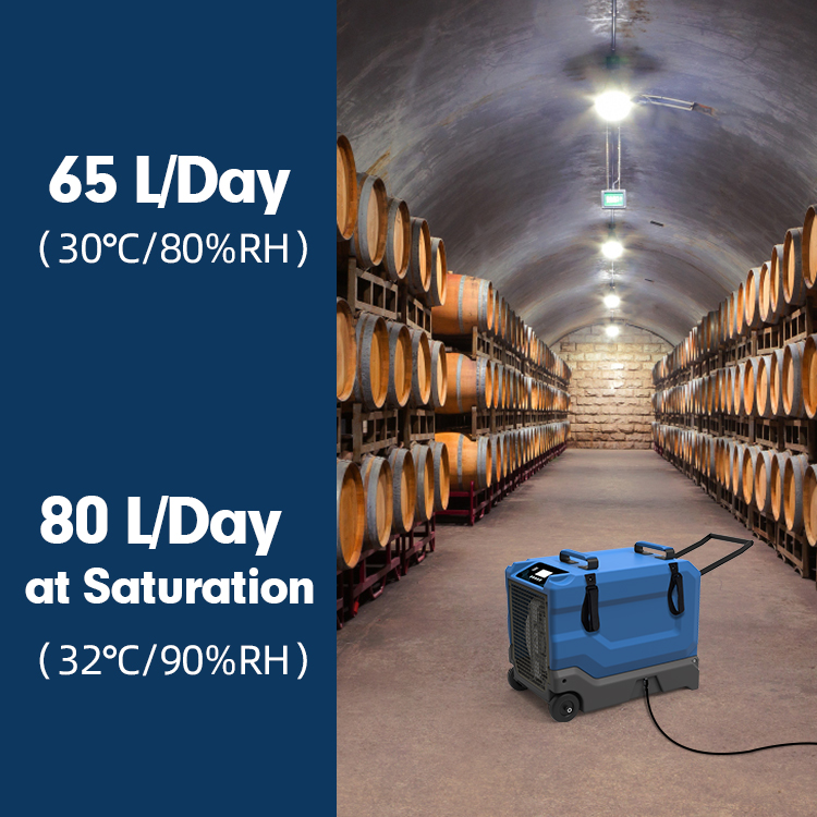 ALGR65 Dehumidifier For water Fire Damage Restoration