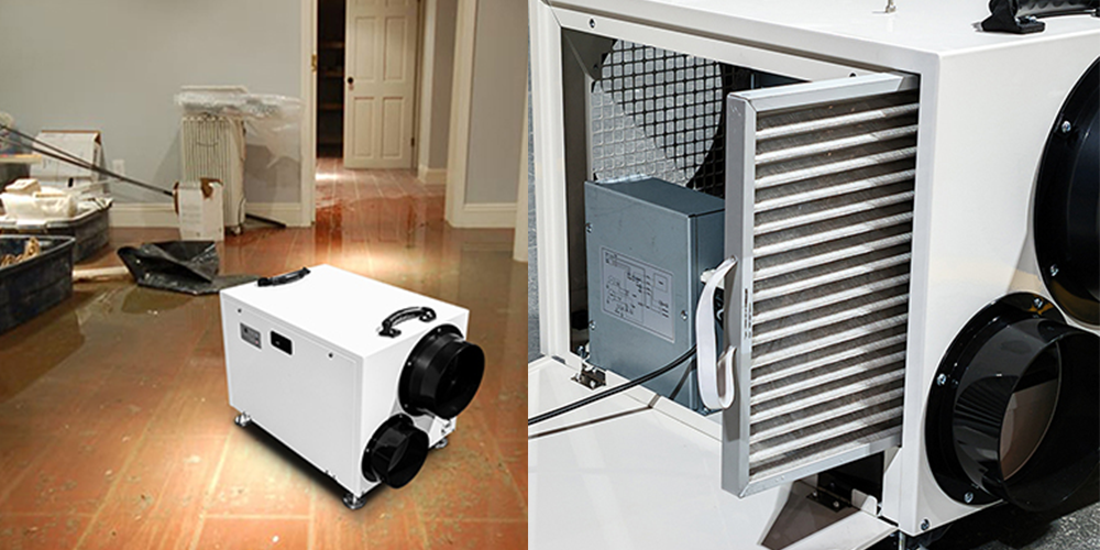 Whole House Dehumidifier for Sale