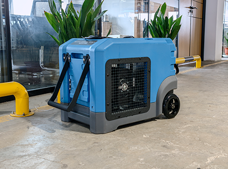 How to Maintain Dehumidifiers?