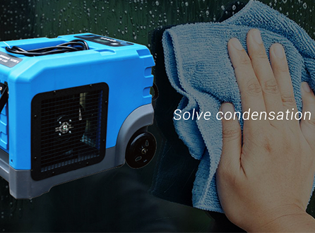 Are-Dehumidifiers-Good-for-Condensation.png