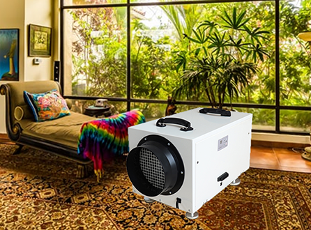 Do-Dehumidifiers-Work-in-the-Tropics.png
