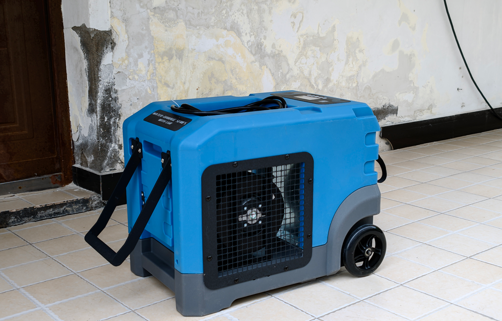 Lgr105 Dehumidifier for Wet Walls