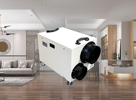 Can a Whole Room Dehumidifier Help with Mold?