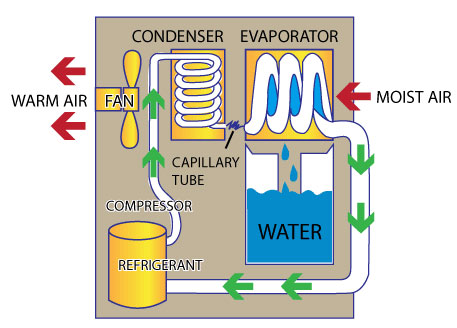 Working Principle of Dehumidifiers
