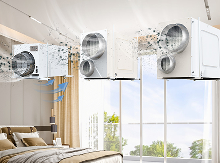 Why Do You Need A Home Dehumidifier in the House in Winter?