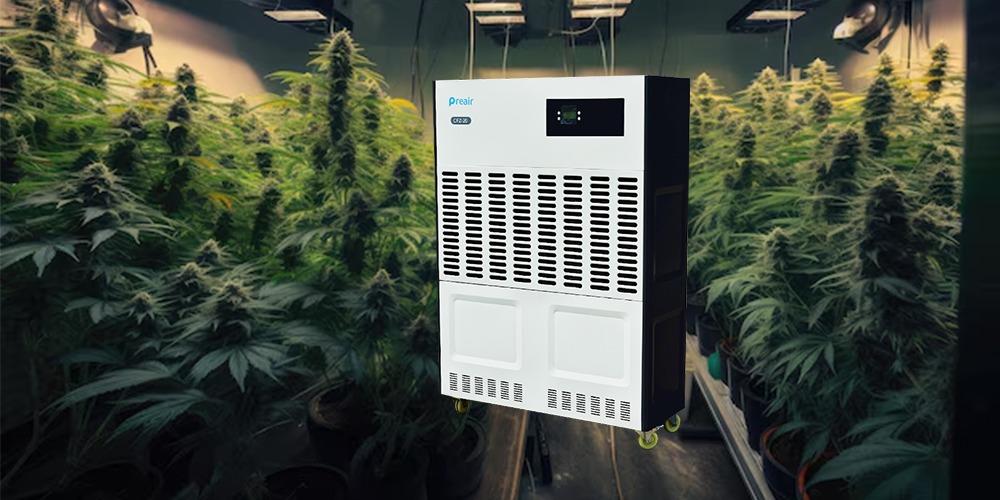 Preair Cfz40 Dehumidifier for Grow Room