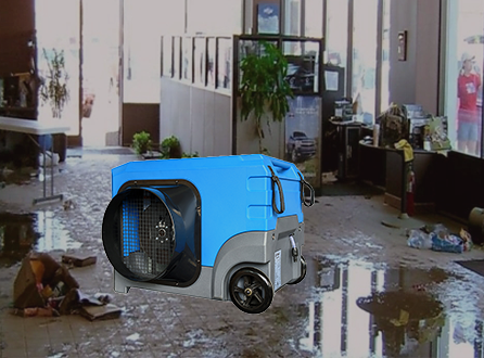 lgr125-dehumidifier-for-water-damage.png