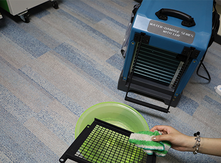 why-need-to-regularly-clean-the-filter-of-a-dehumidifier.png