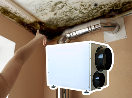 Why-Is-My-Bathroom-Ceiling-Always-Wet.png