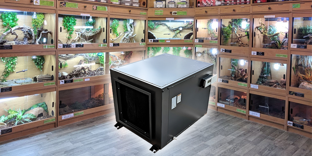 Zeta240 Industrial Efficient Dehumidifier for Reptile Shop